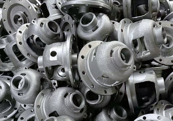 Differential housing casting