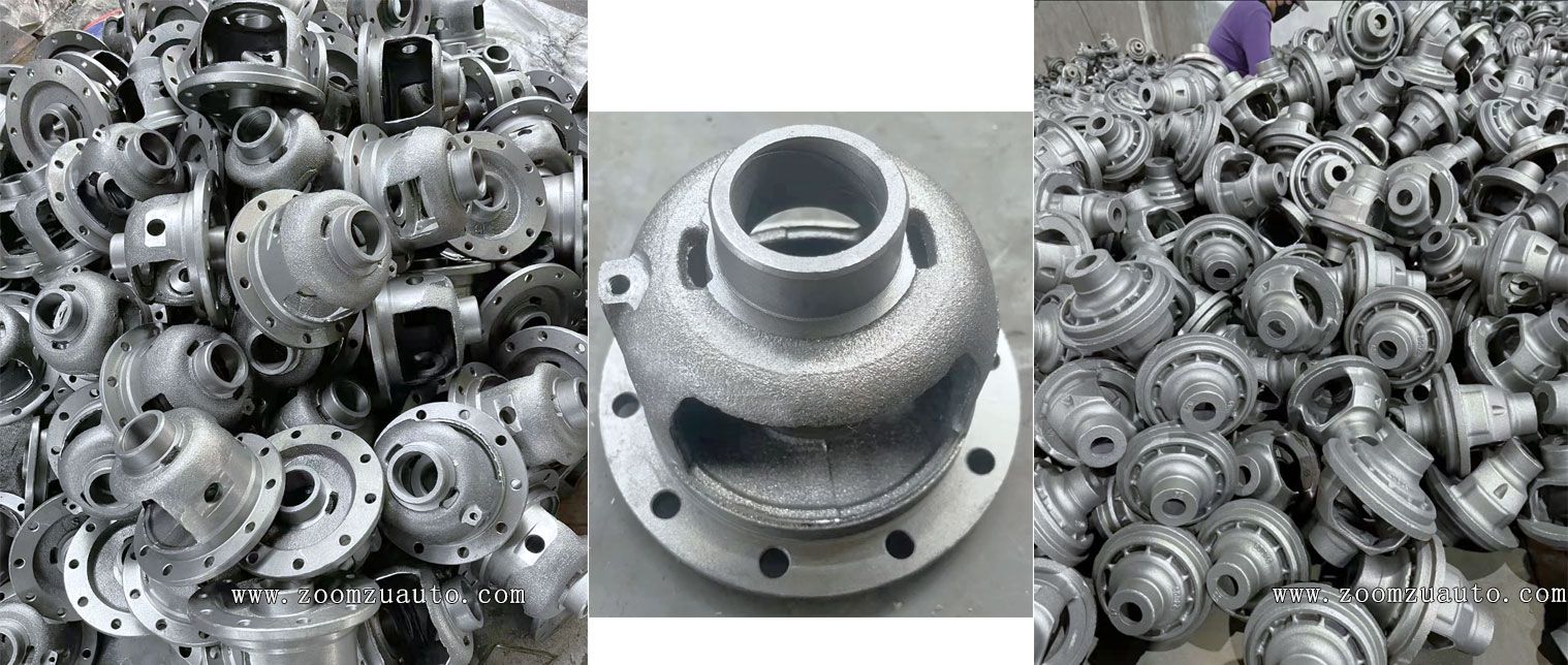 Differential housing casting
